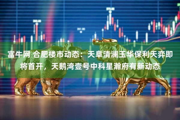 富牛网 合肥楼市动态：天阜清澜玉华保利天弈即将首开，天鹅湾壹号中科星瀚府有新动态